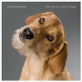Cover: The Life and Love of Dogs - Abrams