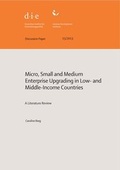 Cover: Micro, small and medium enterprise upgrading in low- and middle-income countries - German Institute of Development and Sustainability (IDOS) gGmbH