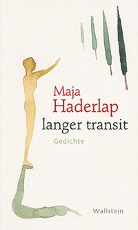 Enlarge image Cover: langer transit - Wallstein