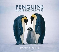 Enlarge image Cover: Penguins - Bloomsbury Natural History