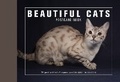 Cover: Beautiful Cats Postcard Book - Ivy Press