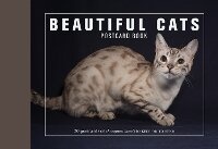 Enlarge image Cover: Beautiful Cats Postcard Book - Ivy Press