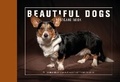Cover: Beautiful Dogs Postcard Book - Ivy Press