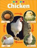 Cover: Chick Life Cycle Photo Chart - Teacher's Friend Publications