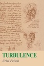 Cover: Turbulence - Cambridge University Press