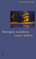 Cover: Bewegtes Leuchten / Lueur mobile - Limmat