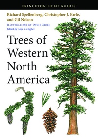 Abbildung von: Trees of Western North America - Princeton University Press