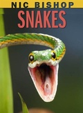 Cover: Nic Bishop: Snakes - Scholastic US
