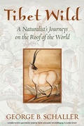 Cover: Tibet Wild - NYU Press