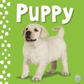 Cover: Touch and Feel - Puppy - Make Believe Ideas