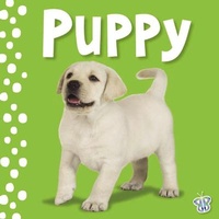 Enlarge image Cover: Touch and Feel - Puppy - Make Believe Ideas