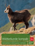 Cover: Wildtierkunde kompakt - BLV