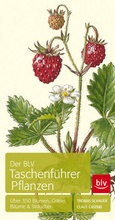 Cover: Der BLV Taschenf&uuml;hrer Pflanzen - BLV
