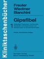 Cover: Gipsfibel - Springer