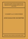 Cover: Anschauliche Geometrie - Springer