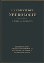 Cover: Raumbeengende Prozesse - Springer