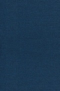 Cover: Historical Dynamics - Princeton University Press