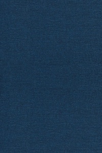 Enlarge image Cover: Historical Dynamics - Princeton University Press