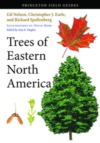 Abbildung von: Trees of Eastern North America - Princeton University Press