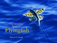 Abbildung von: The Amazing World of Flyingfish - Princeton University Press