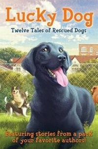 Enlarge image Cover: Lucky Dog - Scholastic Press