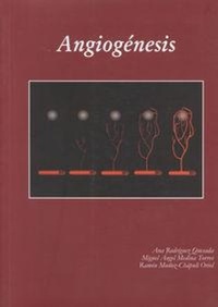 Abbildung von: Angiogénesis - Servicio de Publicaciones y Divulgación Científica de la Universidad de Málaga