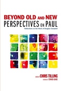 Cover: Beyond Old and New Perspectives on Paul - Wipf & Stock Publishers
