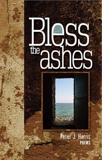 Enlarge image Cover: Bless the Ashes - Tia Chucha Press