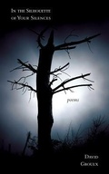 Cover: In the Silhouette of Your Silences - Now or Never Publishing Company