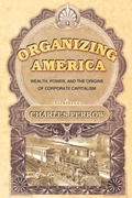 Cover: Organizing America - Princeton University Press