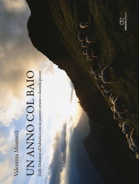 Abbildung von: Un anno col baio. Dalle Dolomiti all'Adriatico con un pastore errante e duemila pecore - Ediciclo