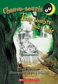 Cover: Trop Sombre Pour Voir - Scholastic