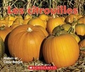 Cover: Les Citrouilles - Scholastic