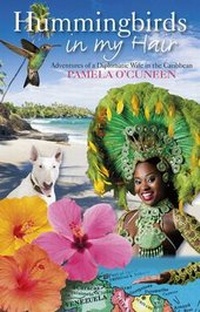 Abbildung von: Hummingbirds in My Hair - Quartet Books