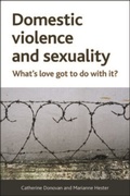 Cover: Domestic Violence and Sexuality - Policy Press