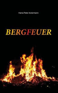 Abbildung von: Bergfeuer - Shaker Media
