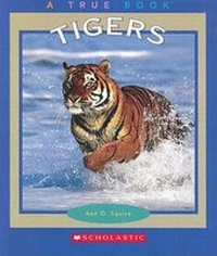 Enlarge image Cover: Tigers - Children's Press(CT)
