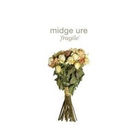 Enlarge image Cover: Fragile - 375 Media GmbH