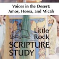 Cover: Voices in the Desert: Amos, Hosea, Micah - Liturgical Press