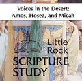 Cover: Voices in the Desert: Amos, Hosea, Micah - Liturgical Press