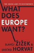 Cover: What Does Europe Want? - Columbia University Press