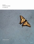 Cover: The Day the Dam Collapses - Daylight