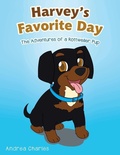 Cover: Harvey's Favorite Day - Trafford Publishing