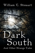 Cover: Dark South - iUniverse
