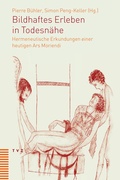 Cover: Bildhaftes Erleben in Todesn&auml;he - Theologischer Verlag Z&uuml;rich
