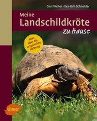 Abbildung von: Meine Landschildkröte zu Hause - Verlag Eugen Ulmer