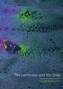 Cover: Luminous and the Grey - Reaktion Books