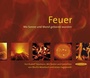 Cover: Feuer - Hanser