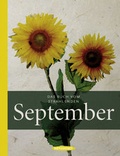 Cover: Das Buch vom strahlenden September - Hanser