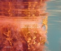 Cover: UNTER DER HAUT DES WASSERS - Kehrer Verlag